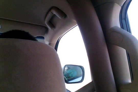 Desert Safari Dubai , Hatta point Extreme Dune Bashing