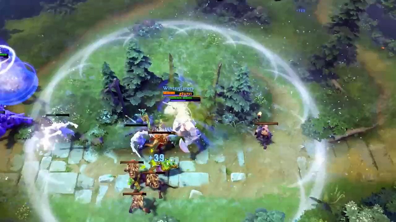 funny DOTA2 28
