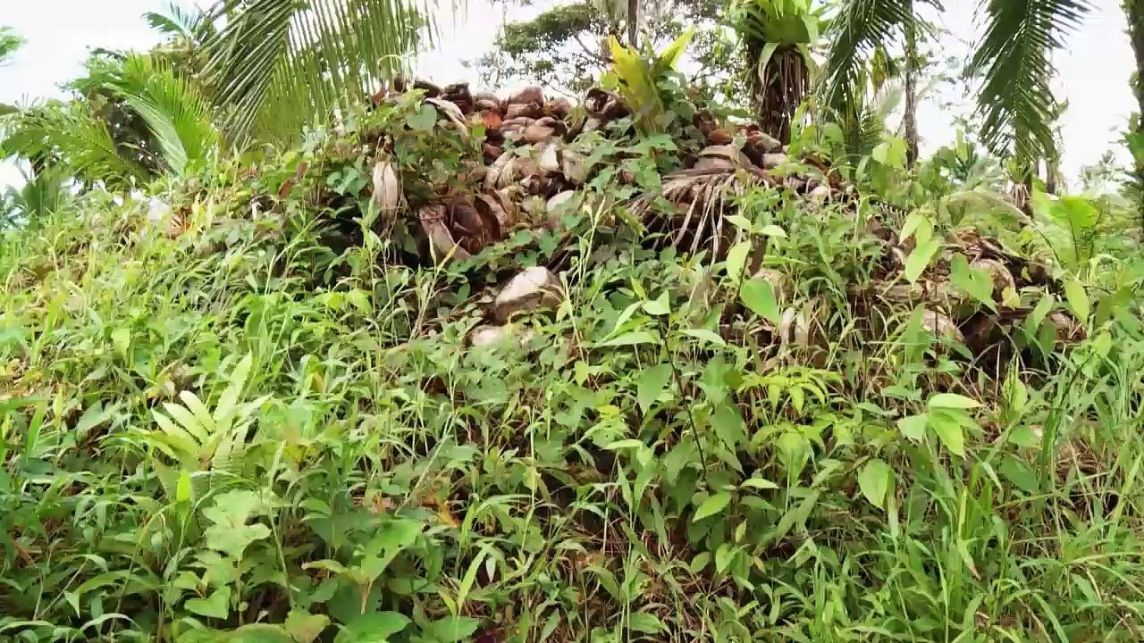 Chemins d'école, chemins de tous les dangers - Nicaragua