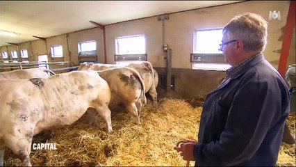 Voici combien coûte vraiment la viande que vous consommez - Regardez