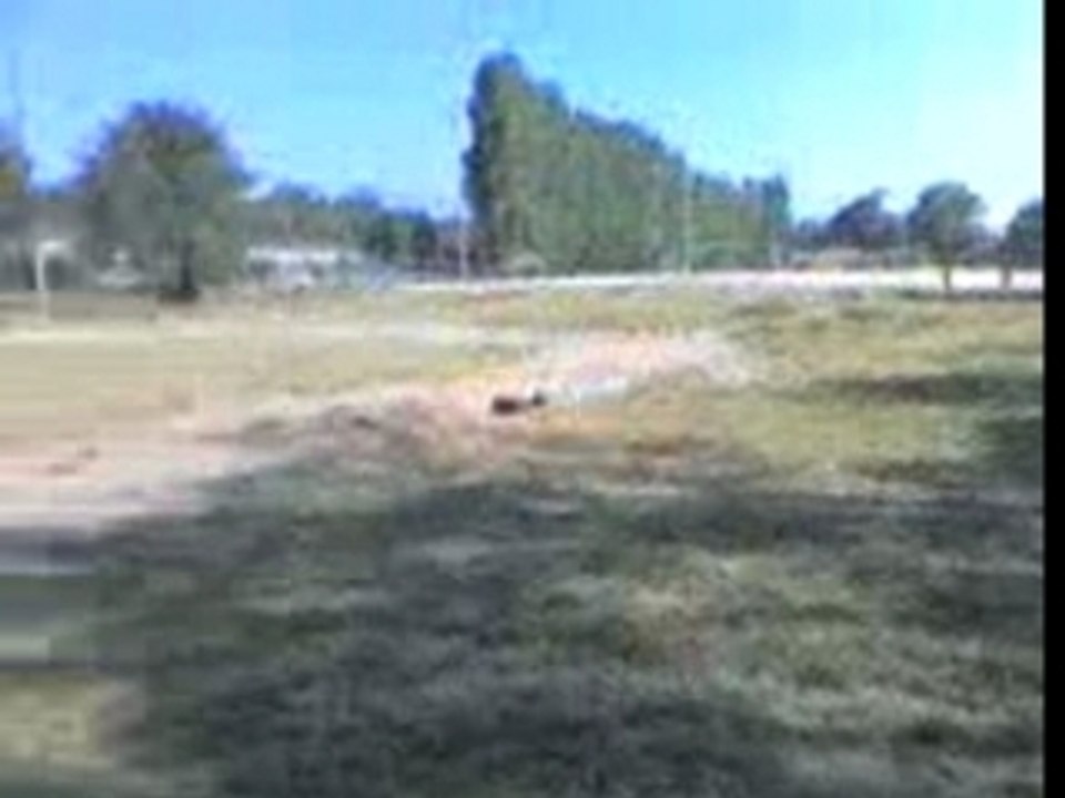Video-0005