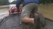 Une femme et son chien piégés dans une voiture en pleine inondation sauvés par un homme courageux