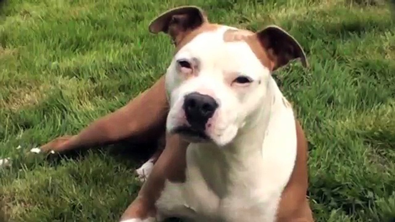 Coaching or Mentoring Programs  - e survey uk