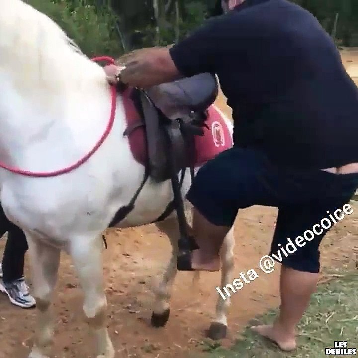 Un homme trop gros se fait rejeter par un cheval
