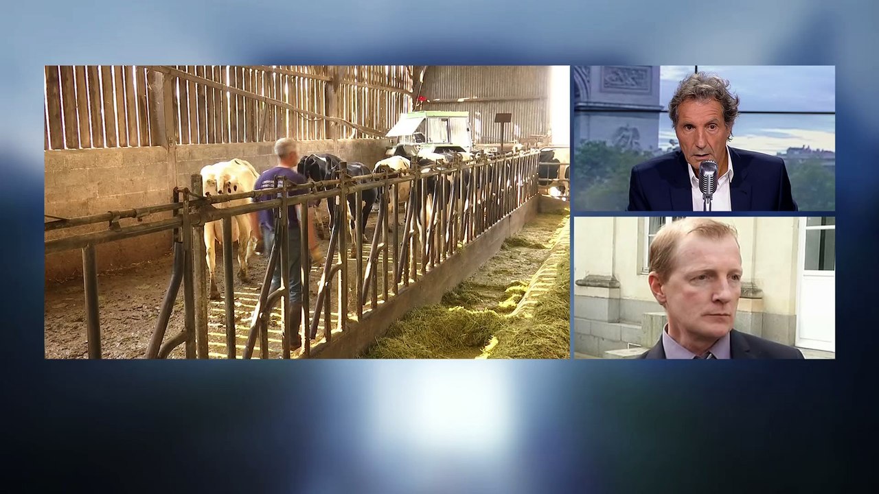 Colère des producteurs de lait: "Comment peut-on être la treizième fortune de France, et ne pas penser à ceux qui se lèvent chaque jour pour traire les vaches?"