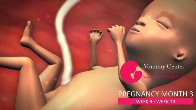 3rd Month of Pregnancy – Definitive Guide For Pregnancy Month 3 - Week(9,10,11,12,13) - Mummy Center
