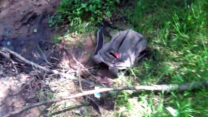 DETECTION AQUATIQUE ( SANS POISSON )