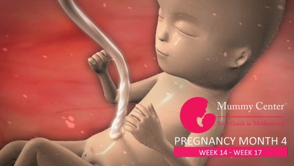 4th Month of Pregnancy – Definitive Guide For Pregnancy Month 4 - Week (14,15,16,17) - Mummy Center