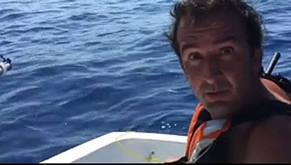 Découvrez le teaser du nouveau "Petit journal" de Canal+ avec Cyrille Eldin