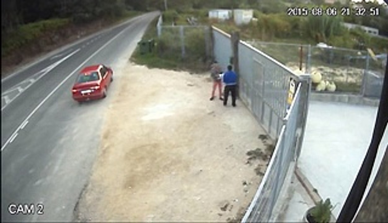 L’Orribile Abbandono Di Un Cane, Queste Persone Meritano La Galera- Condividiamo Tutti Questo Video!