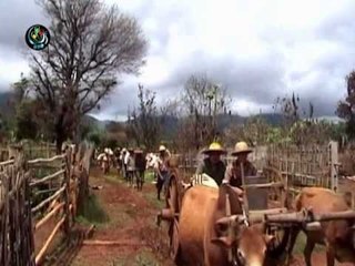 Children abducted in Shan State