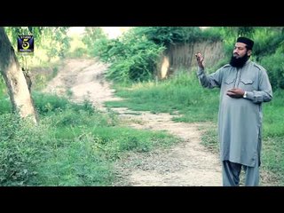 Wali Hen Do Jahan K | Muhammad Asif Qadri | Naat 2015 | Ramadan Kareem