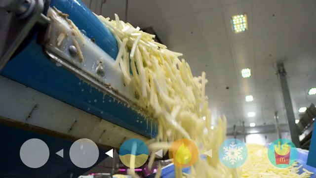 Comment sont fabriquées les frites de McDonald