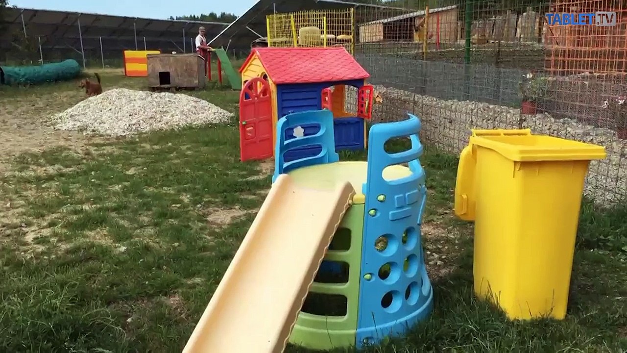 Hotel pre zvieratá: Majitelia si ho niekedy mýlia s útulkom