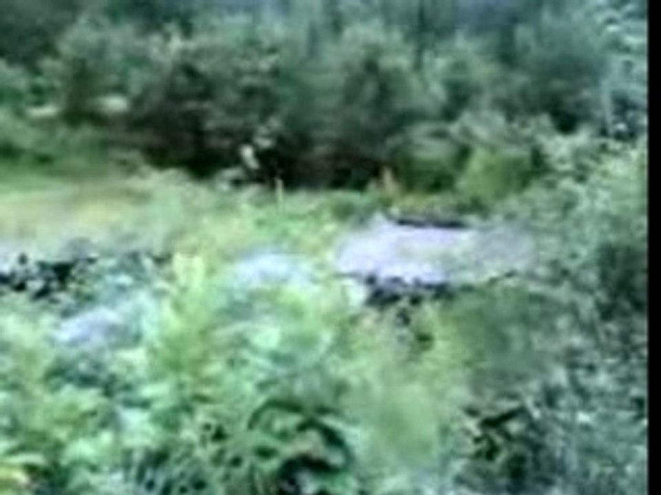 25062007