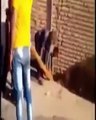 HORRIFYING MOMENT - Group Of People Electrocuted Trying To Fix A Telephone Pole (RAW)