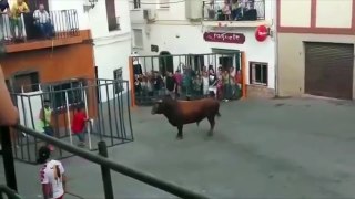 Un taureau réussit à entrer dans une cage de protection et encorne un homme pris au piège
