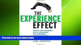 READ book  The Experience Effect: Engage Your Customers with a Consistent and Memorable Brand