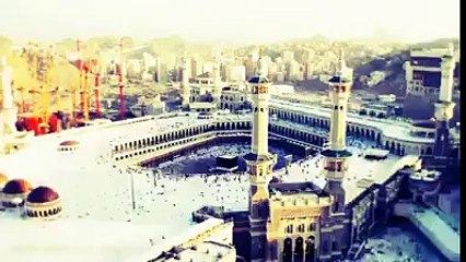 Allah Is Great & Great Asli Jaleel