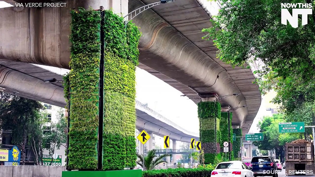 green city