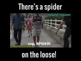 Fake Spider Prank | Best Prank Ever | see people Reactions