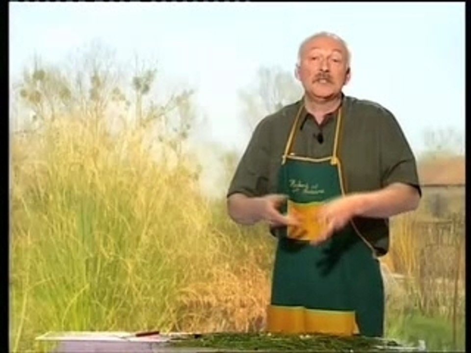 Découpe de gazon
