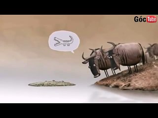 Clip ngắn mà ý nghĩa