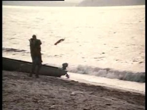 Nuits blanches à Seattle - Trailer