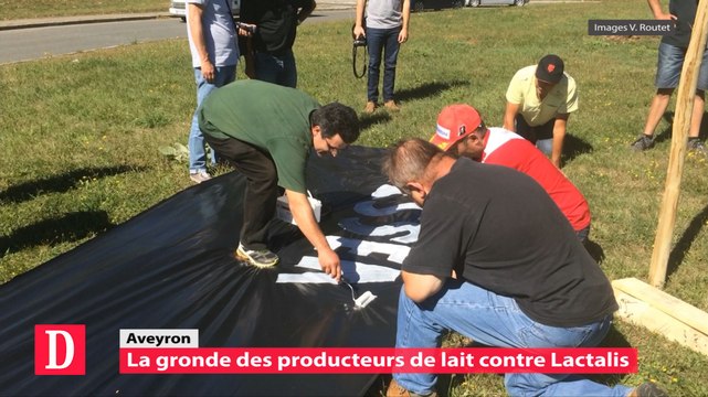 Aveyron : la gronde des éleveurs contre Lactalis