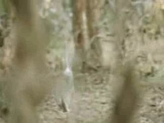 ThavamaiThavamIrunthu- namma ooru