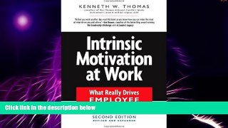 Must Have  Intrinsic Motivation at Work: What Really Drives Employee Engagement  READ Ebook Full