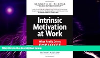 Must Have  Intrinsic Motivation at Work: What Really Drives Employee Engagement  READ Ebook Full