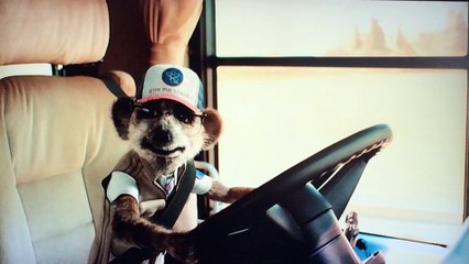 compare the market .com 2016 advert trailer no copyright