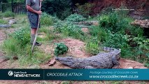 Gramps Attacked By Crocodile