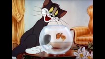 Tom and Jerry - Puss n’ Toots (1942) | Tom and Jerry Collection Film Series