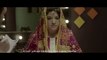Hina Dilpazeer Debut Movie ' Jeewan Haathi ' Teaser Revealed