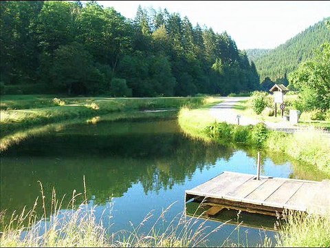 = ФРГ = (17.07.2016)