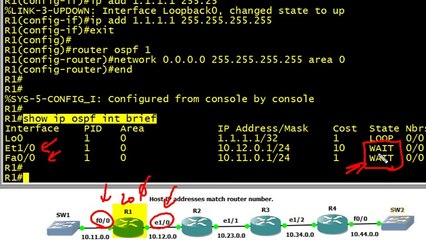 11 - IPv4 OSPF