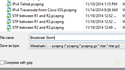 17 - Broadcast Storm