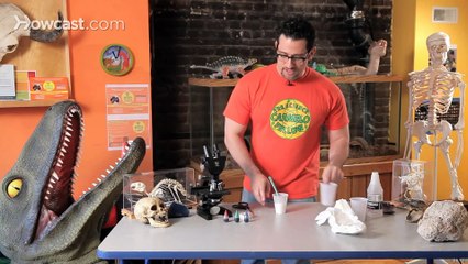 How to Make Water Disappear   Science Projects