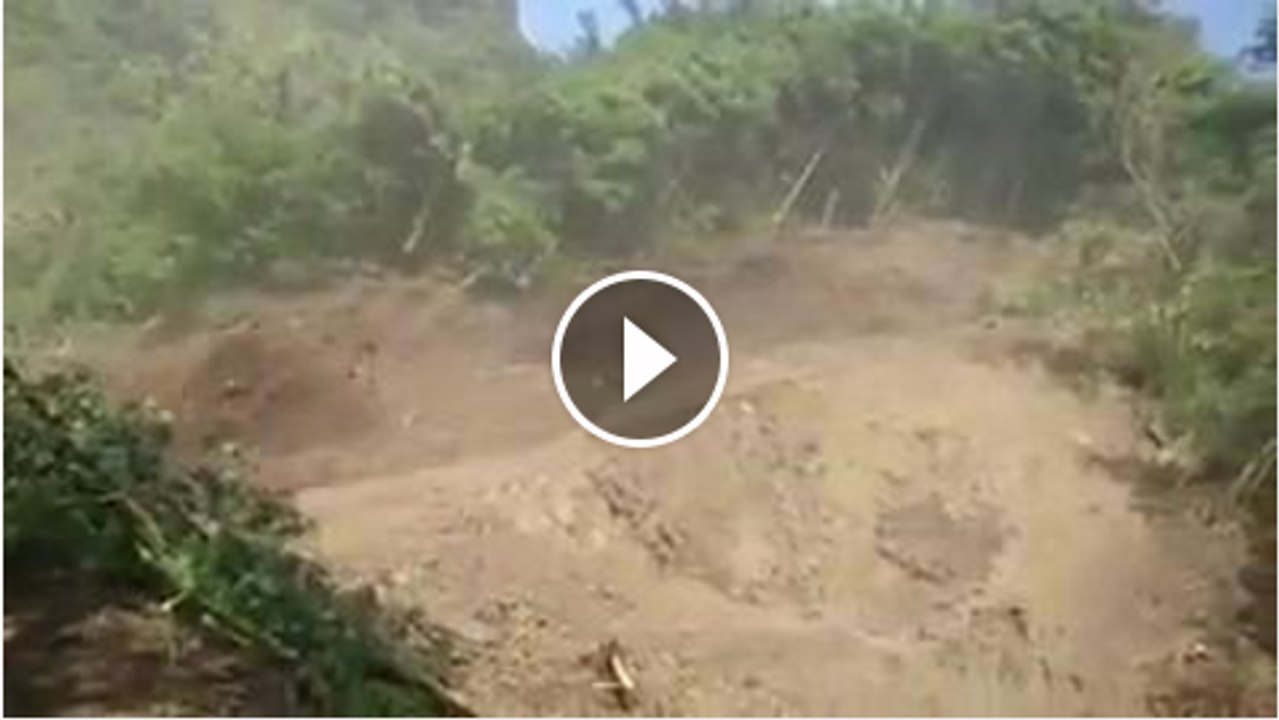 Mountain and tree like lequid