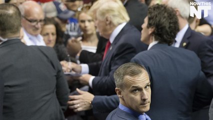 Donald Trump Pays CNN Contributor Despite Accusations of Media Bias