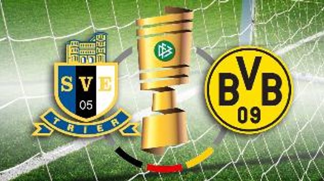 Eintracht Trier 0-3 Borussia Dortmund - All Goals and Highlights 22.08.2016 HD