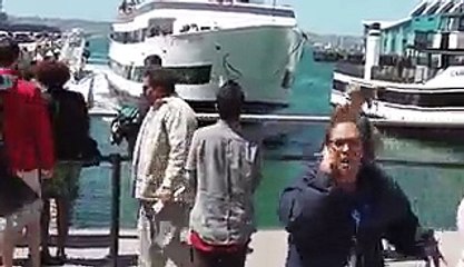 Un bateau se rate en arrivant au port de San Diego et défonce le quai !