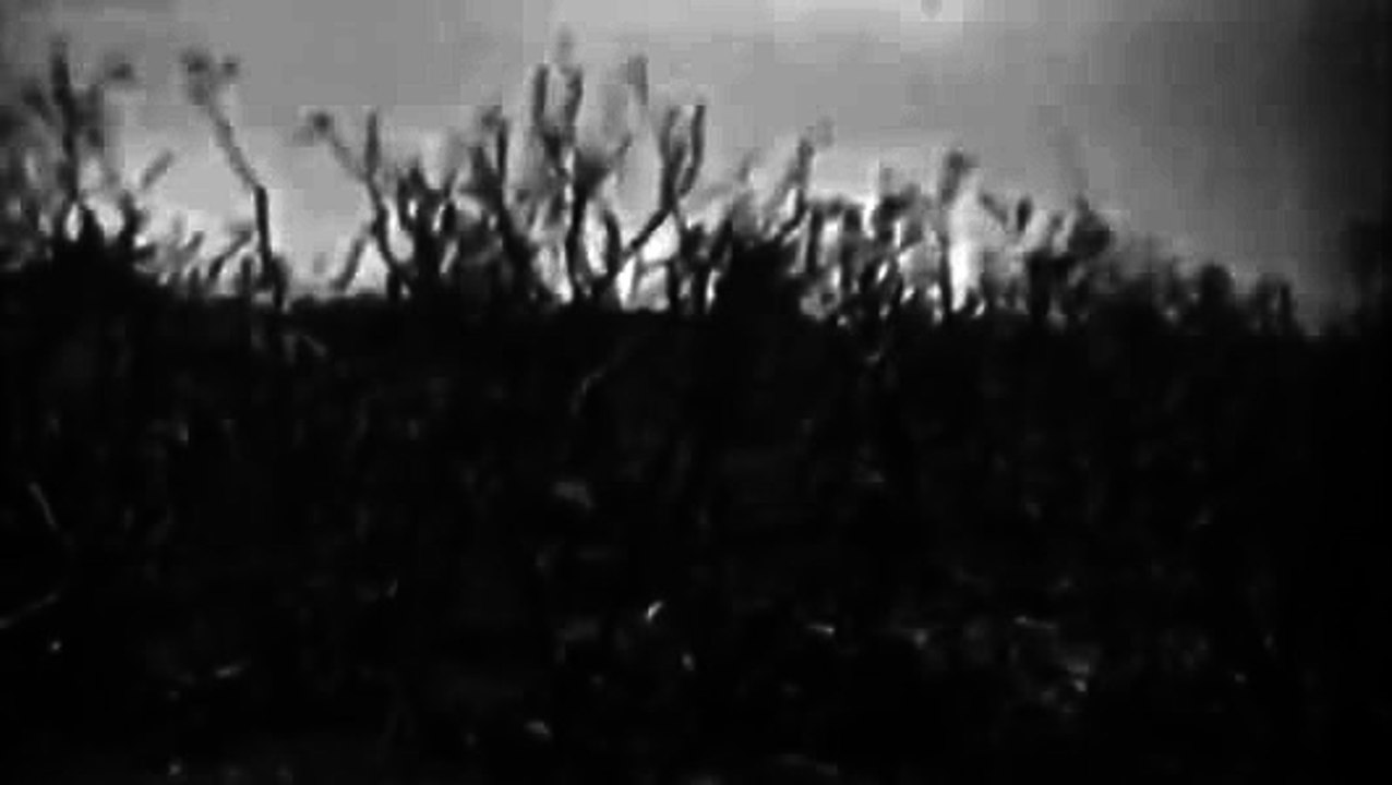 Marines On Iwo Jima, 03/02/1945