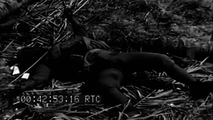 Marines Land, Fighting On Tarawa, 11/25/1943