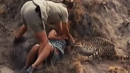 Extreme Animal Attacks Compilation 2016 HD