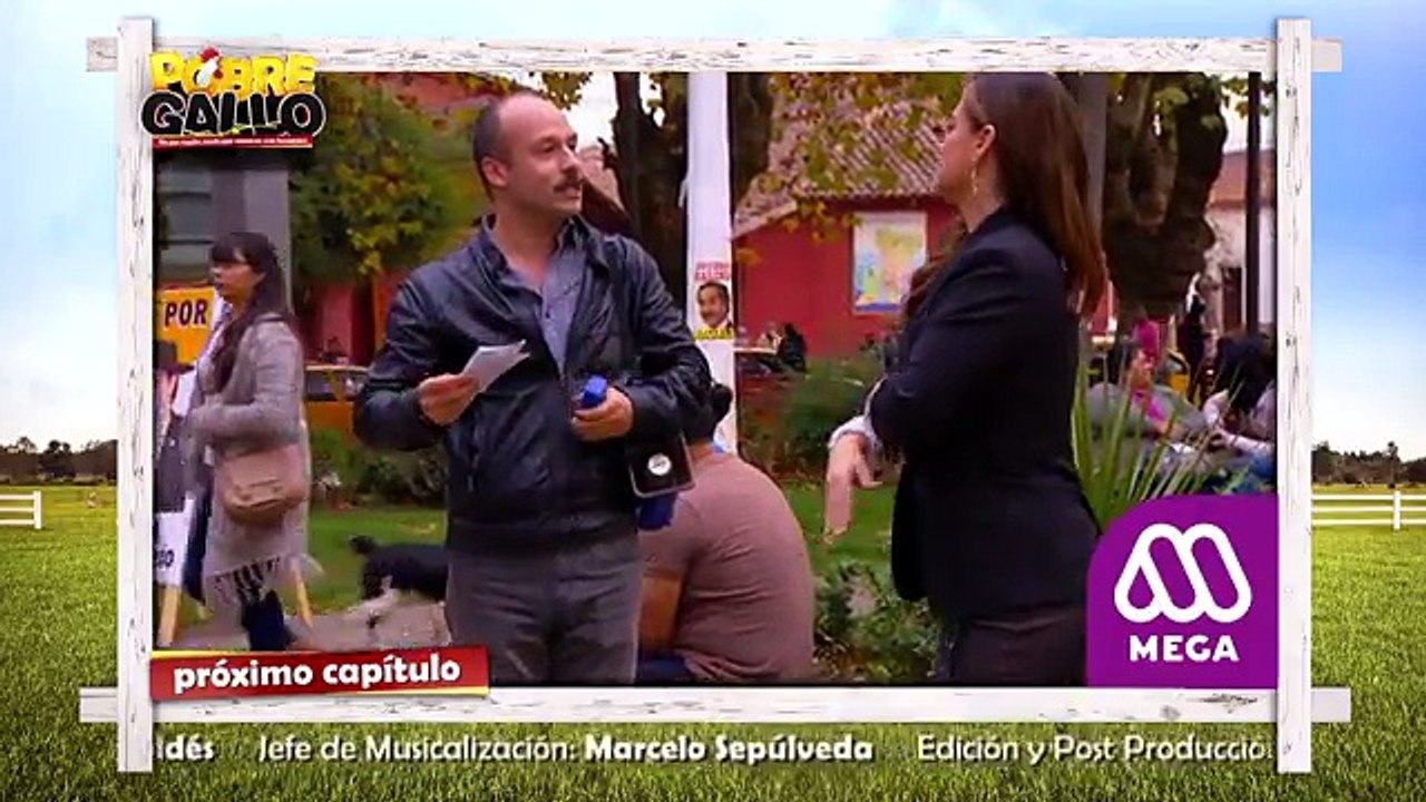 140 Avance Pobre Gallo