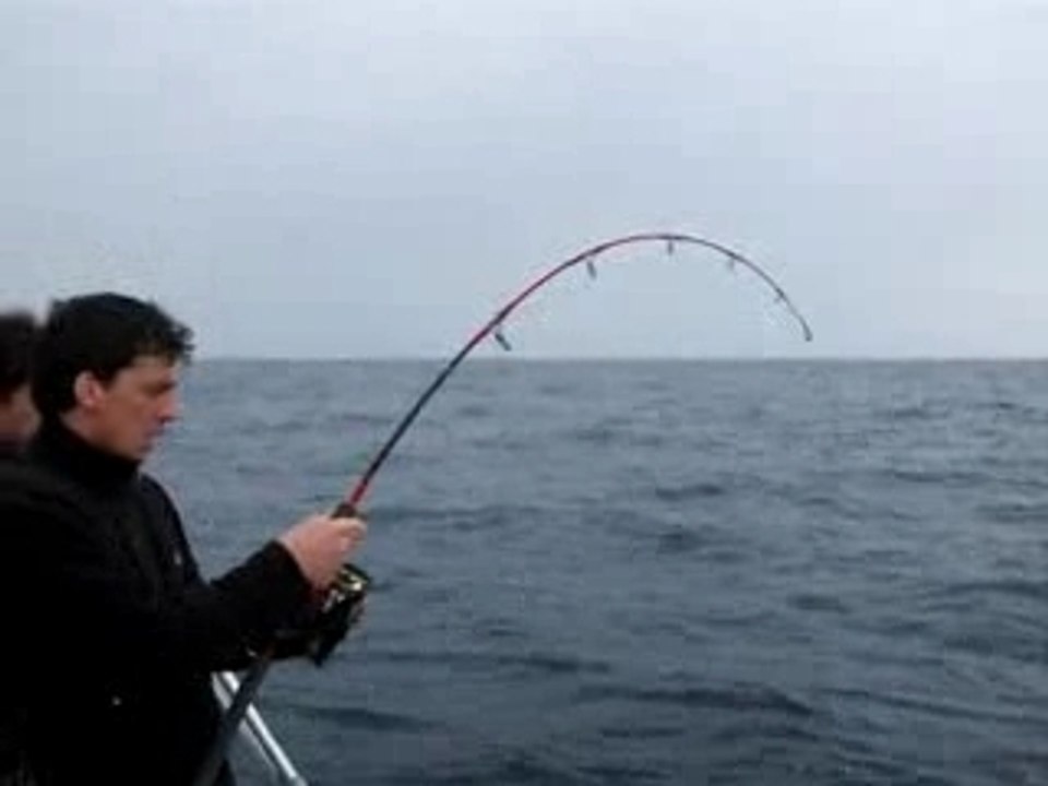 Jigging sériole au combat_0001