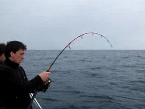 Jigging sériole au combat_0001